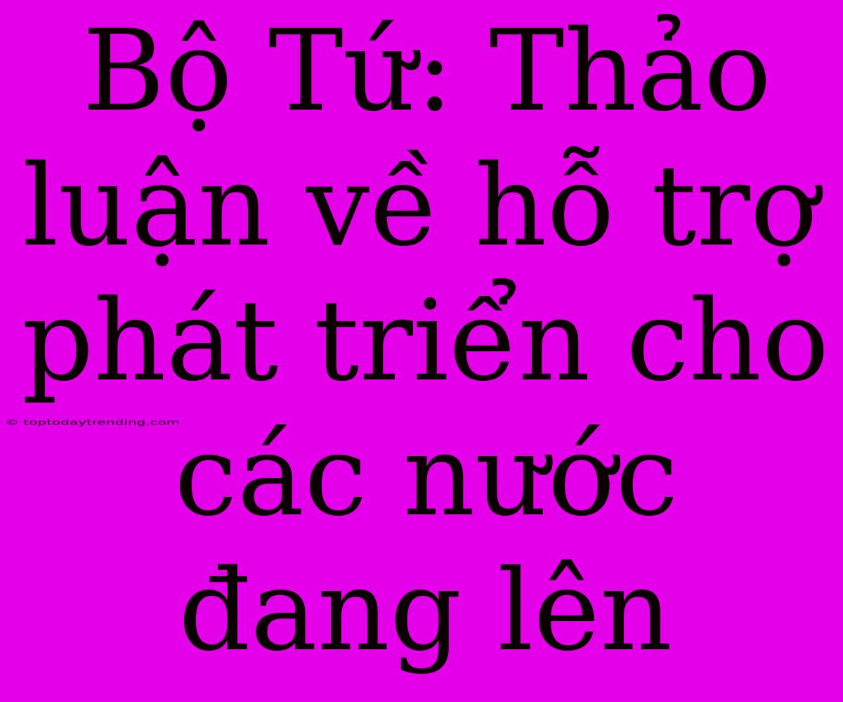 Bộ Tứ: Thảo Luận Về Hỗ Trợ Phát Triển Cho Các Nước Đang Lên