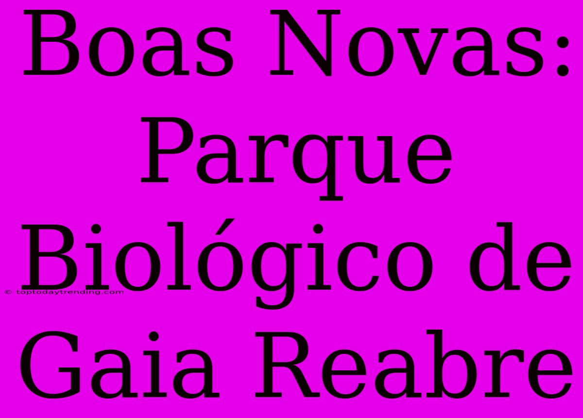 Boas Novas: Parque Biológico De Gaia Reabre