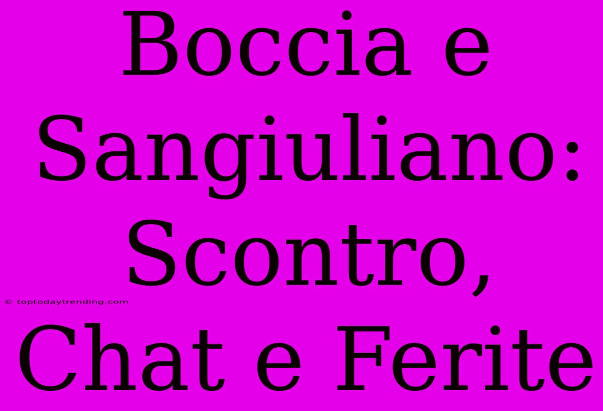 Boccia E Sangiuliano: Scontro, Chat E Ferite