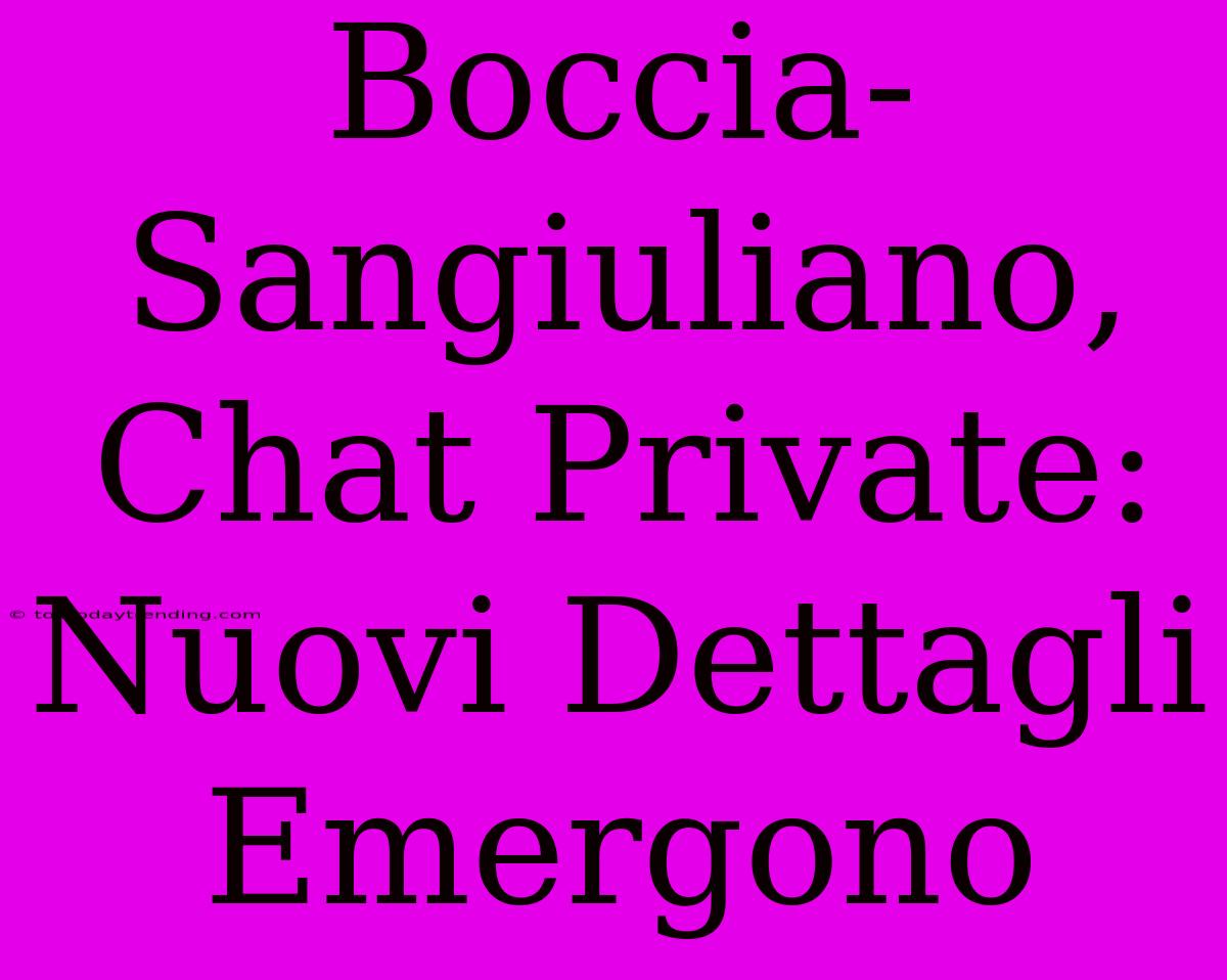 Boccia-Sangiuliano, Chat Private: Nuovi Dettagli Emergono