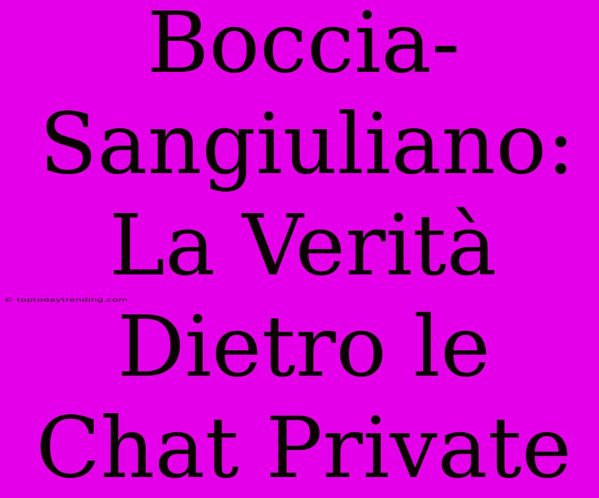 Boccia-Sangiuliano: La Verità Dietro Le Chat Private