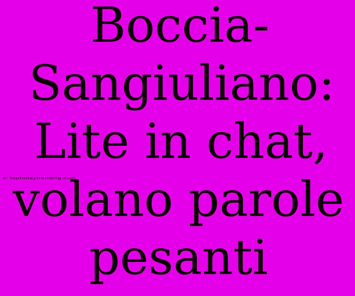 Boccia-Sangiuliano: Lite In Chat, Volano Parole Pesanti