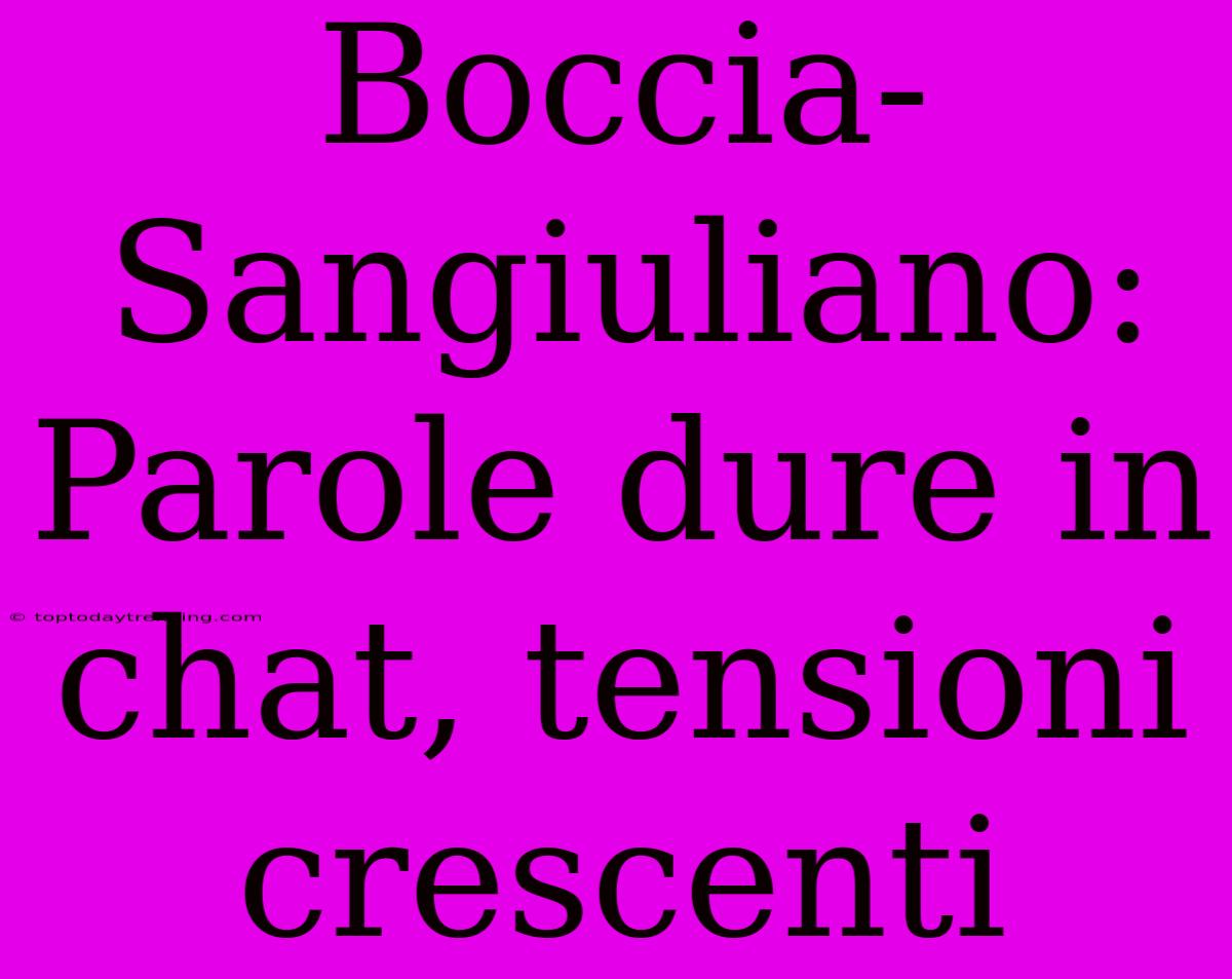 Boccia-Sangiuliano: Parole Dure In Chat, Tensioni Crescenti