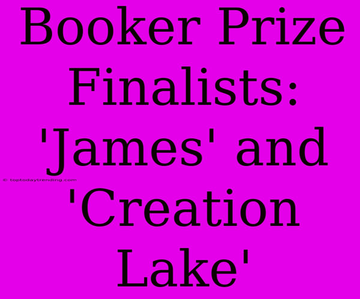 Booker Prize Finalists: 'James' And 'Creation Lake'