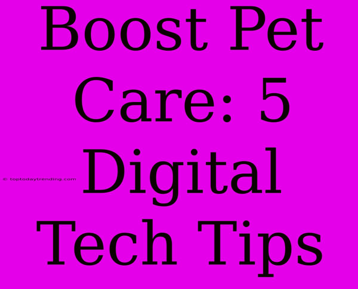 Boost Pet Care: 5 Digital Tech Tips