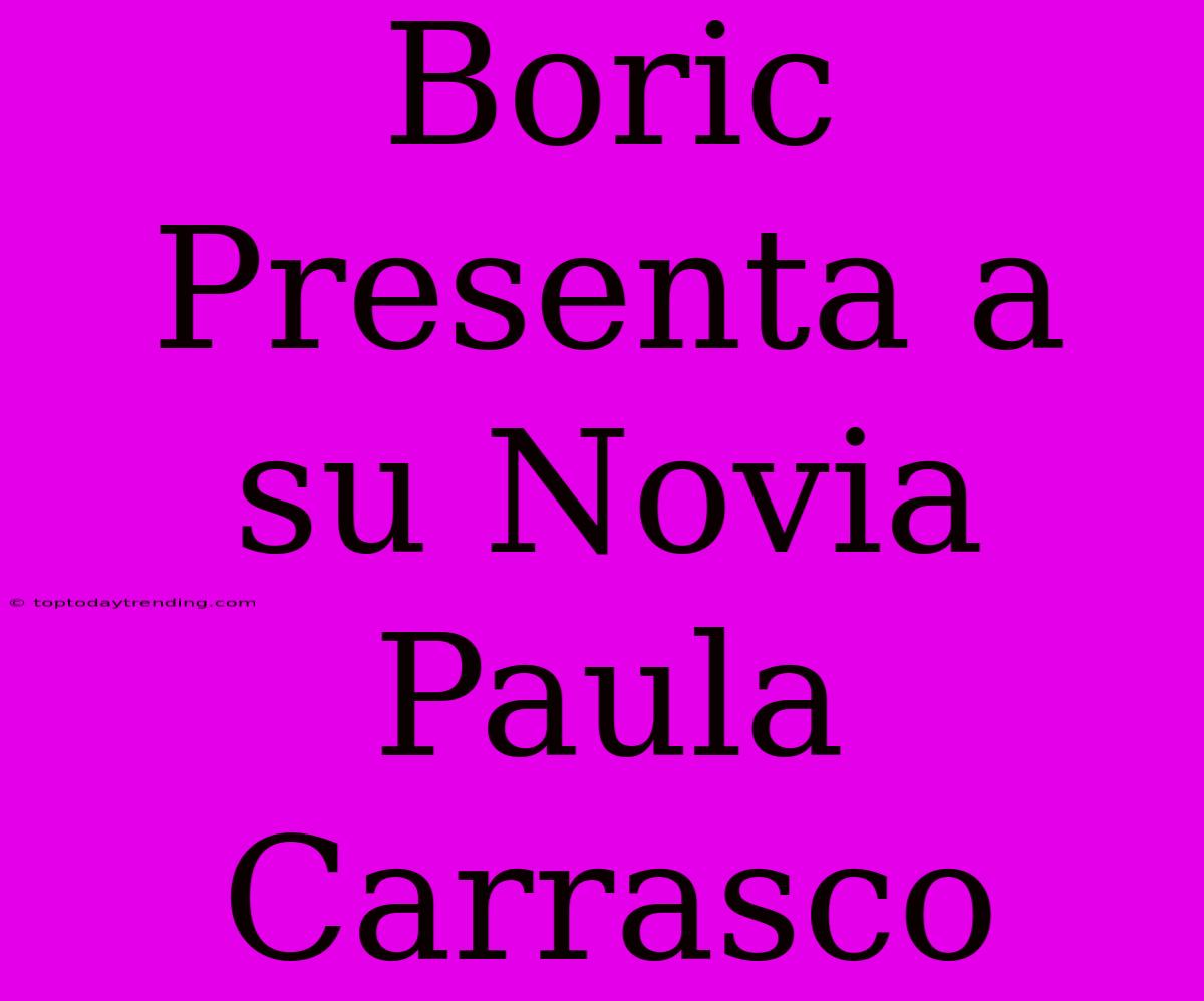 Boric Presenta A Su Novia Paula Carrasco