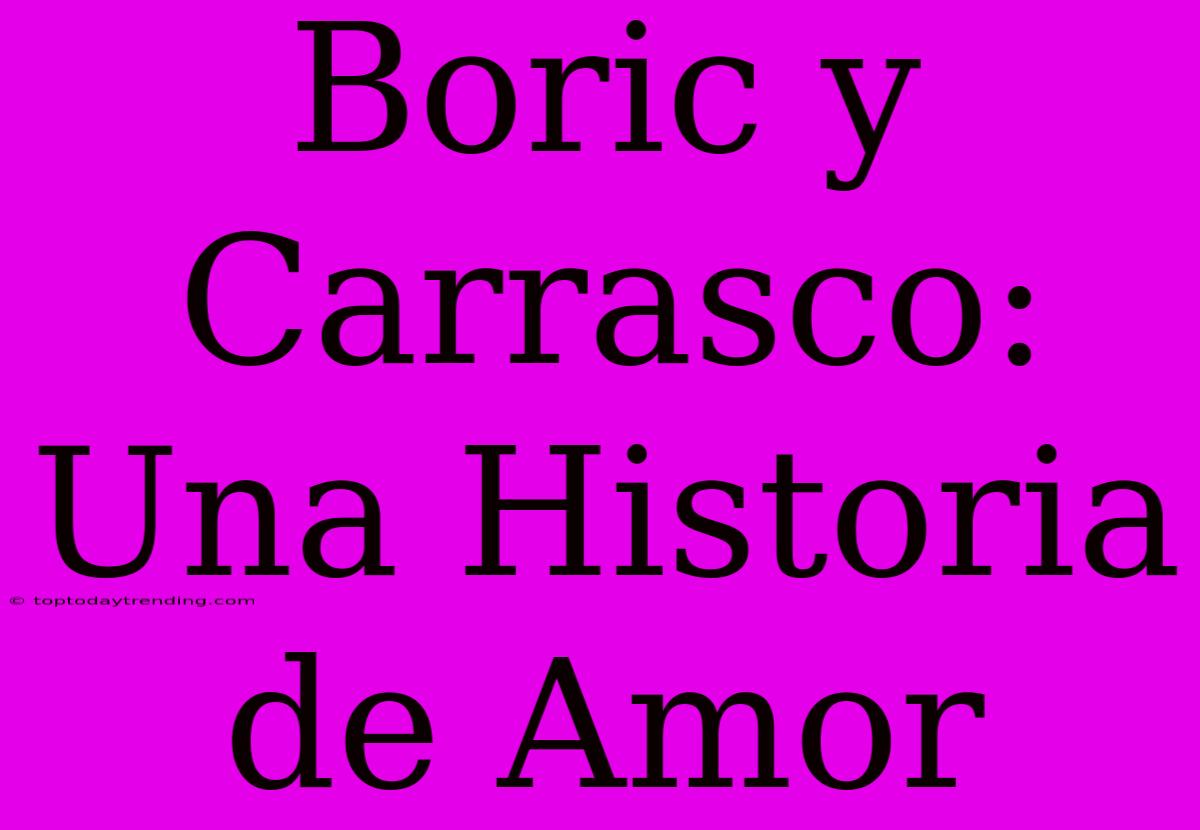 Boric Y Carrasco: Una Historia De Amor