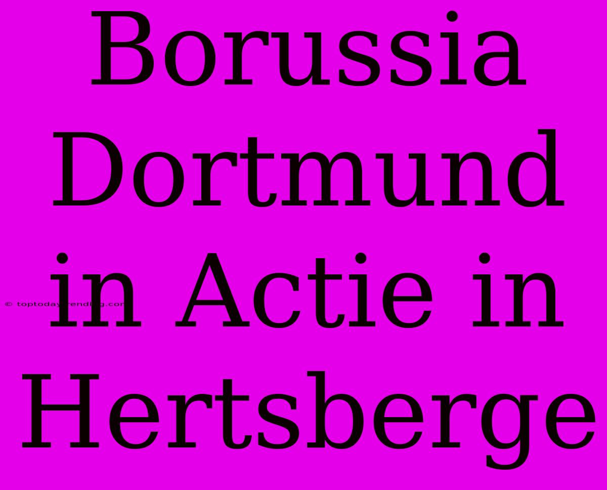 Borussia Dortmund In Actie In Hertsberge