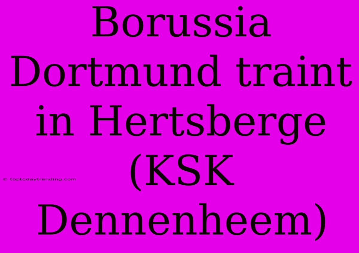 Borussia Dortmund Traint In Hertsberge (KSK Dennenheem)