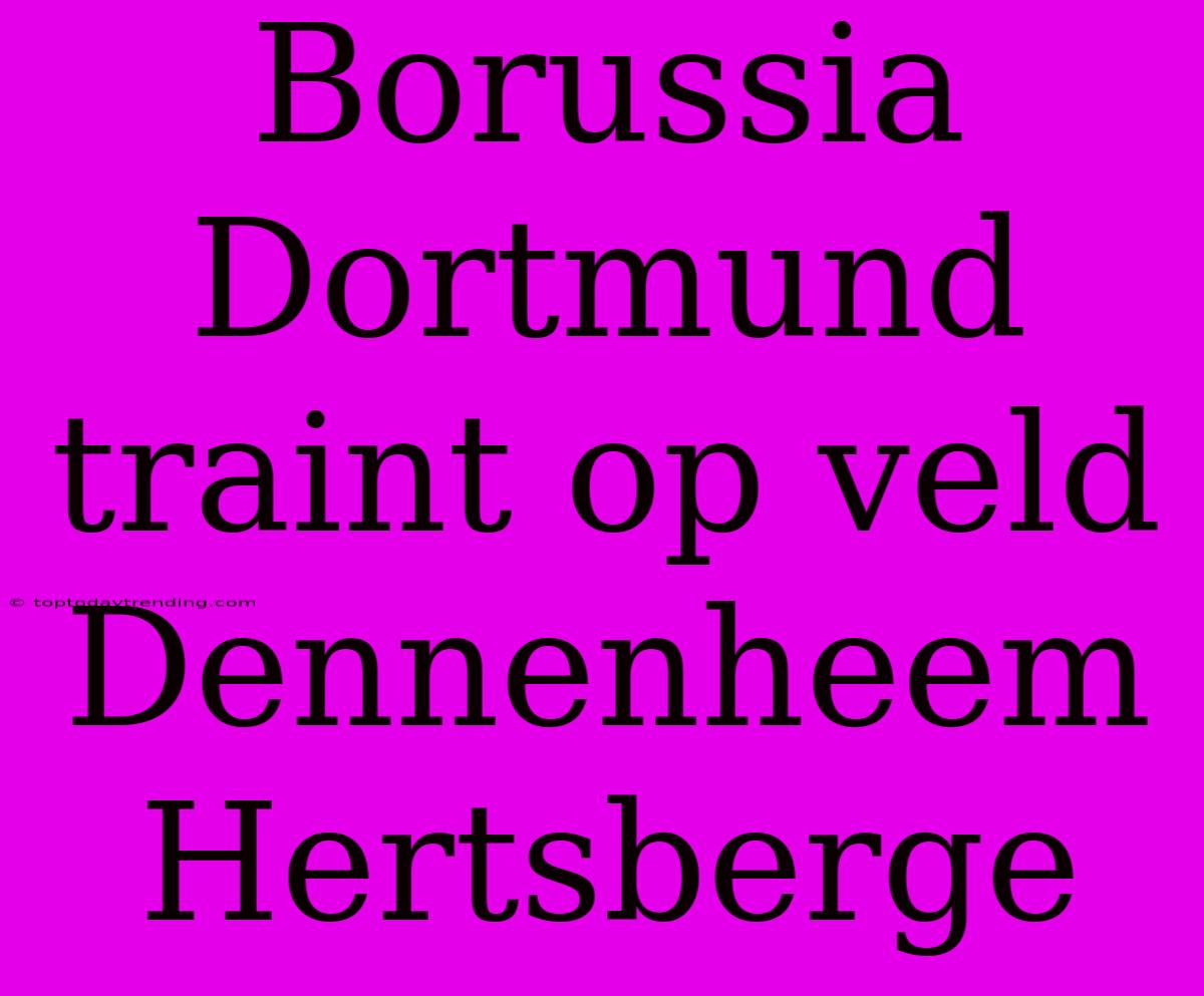 Borussia Dortmund Traint Op Veld Dennenheem Hertsberge