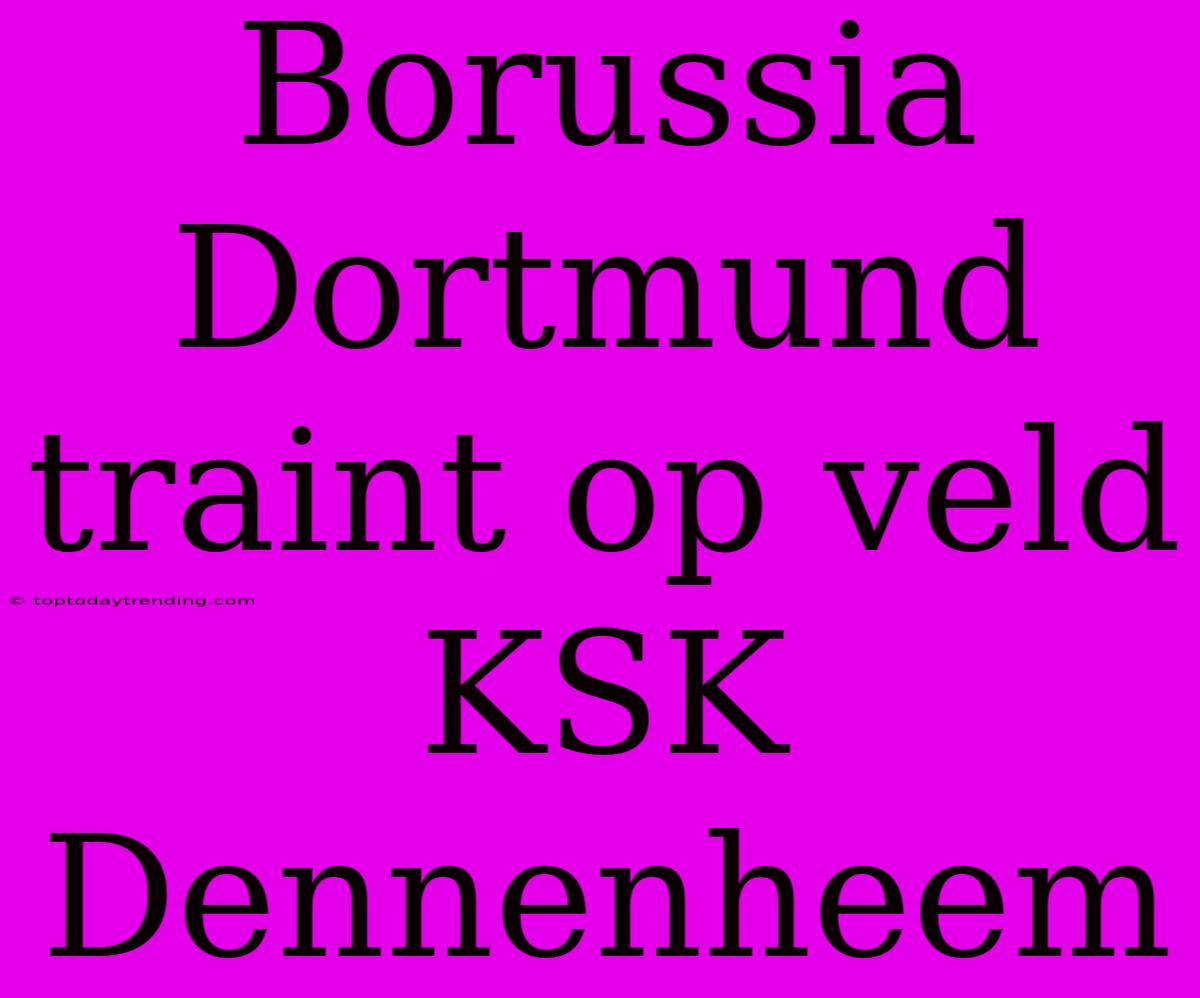 Borussia Dortmund Traint Op Veld KSK Dennenheem