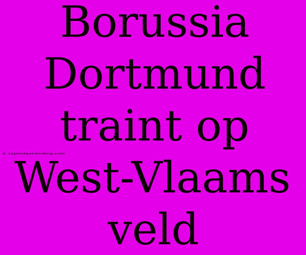 Borussia Dortmund Traint Op West-Vlaams Veld