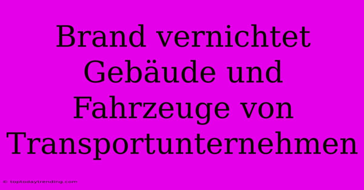 Brand Vernichtet Gebäude Und Fahrzeuge Von Transportunternehmen