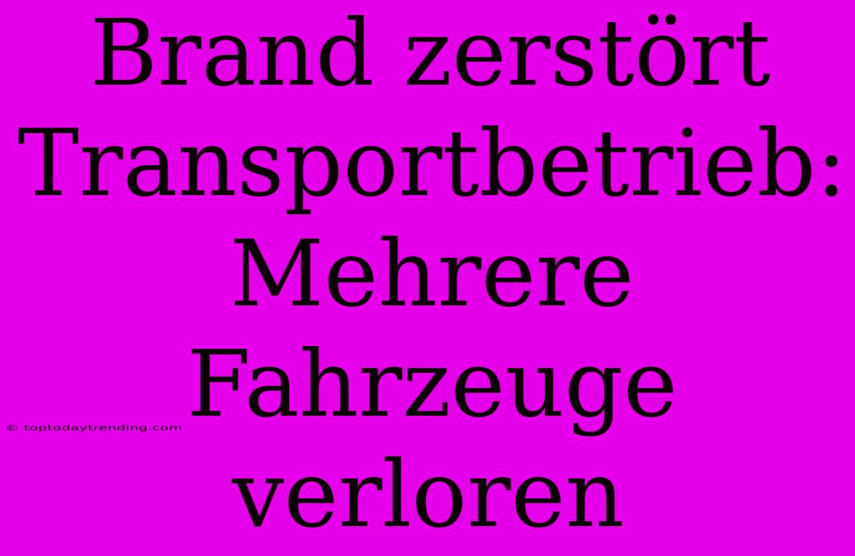 Brand Zerstört Transportbetrieb: Mehrere Fahrzeuge Verloren