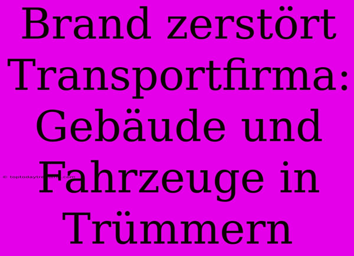 Brand Zerstört Transportfirma: Gebäude Und Fahrzeuge In Trümmern