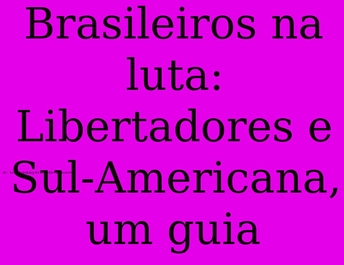 Brasileiros Na Luta: Libertadores E Sul-Americana, Um Guia