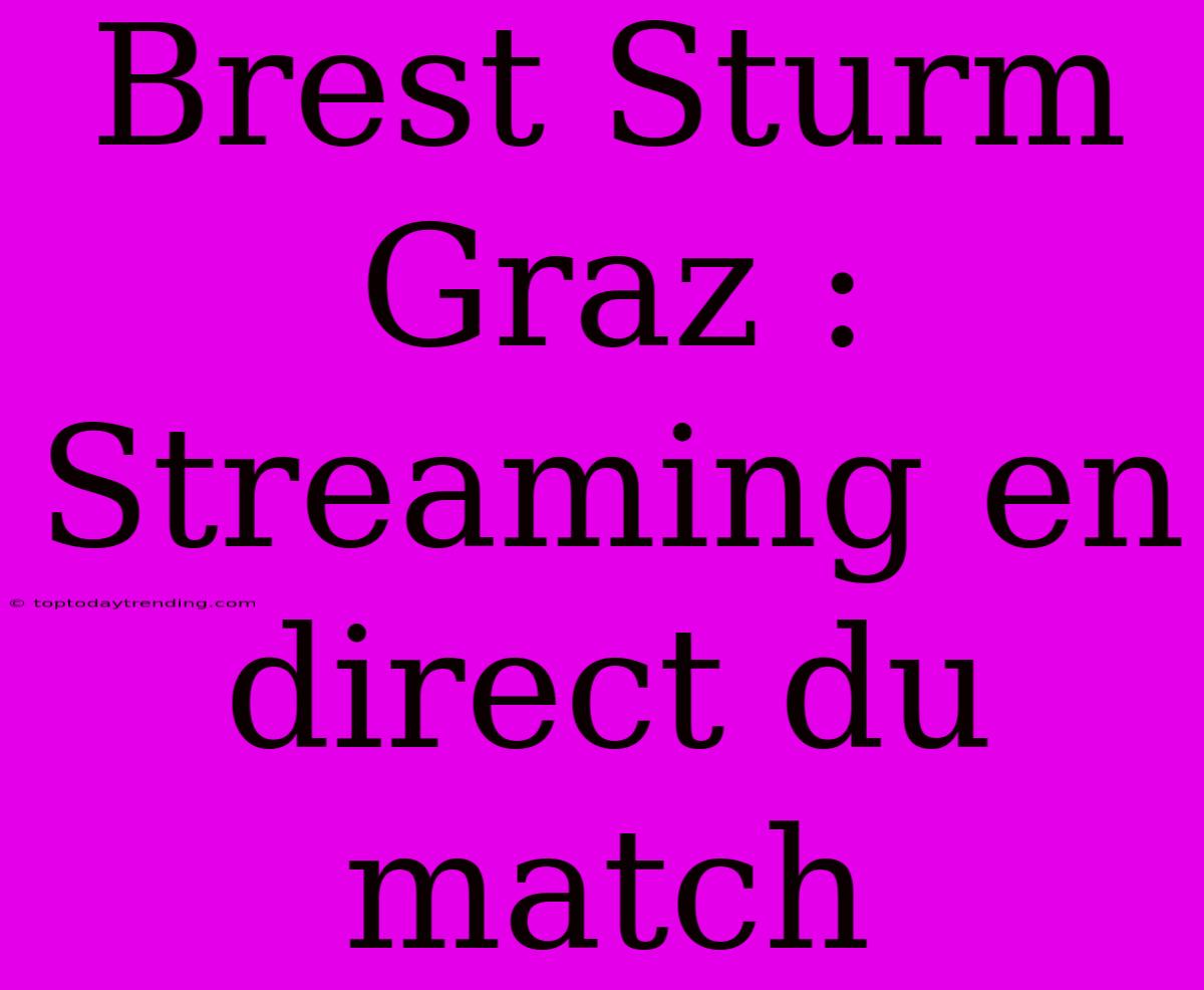 Brest Sturm Graz : Streaming En Direct Du Match