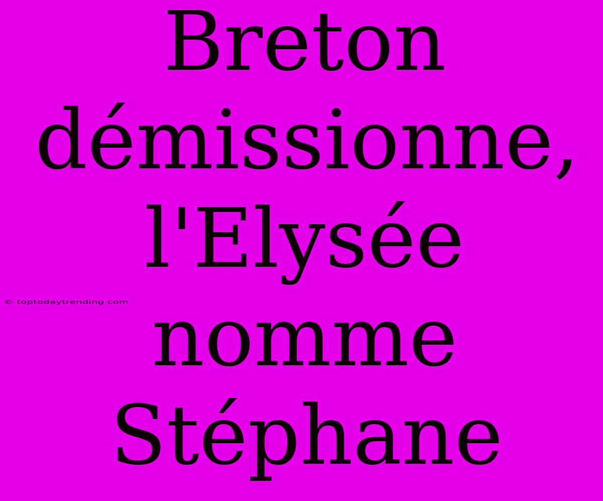 Breton Démissionne, L'Elysée Nomme Stéphane