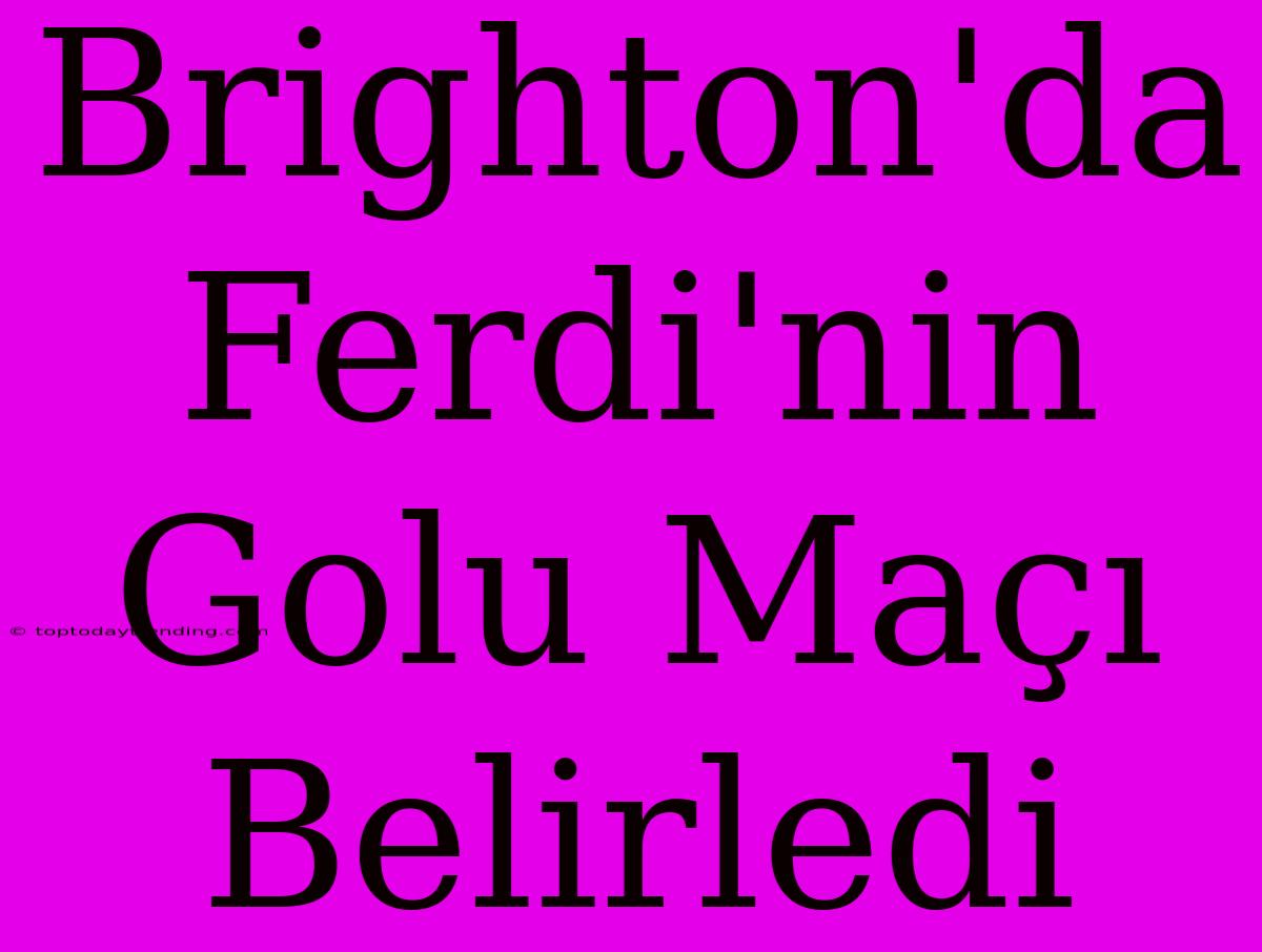 Brighton'da Ferdi'nin Golu Maçı Belirledi