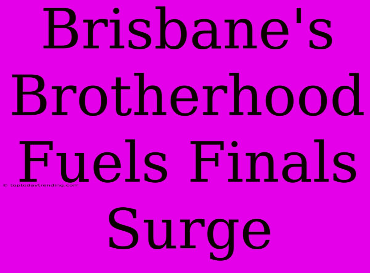 Brisbane's Brotherhood Fuels Finals Surge