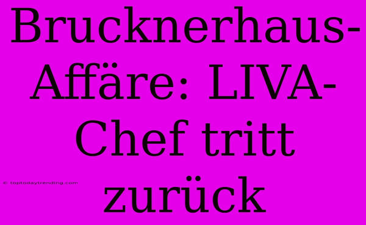 Brucknerhaus-Affäre: LIVA-Chef Tritt Zurück