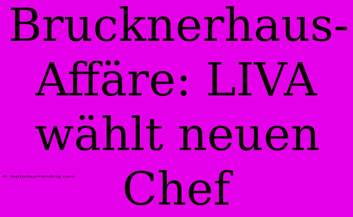 Brucknerhaus-Affäre: LIVA Wählt Neuen Chef