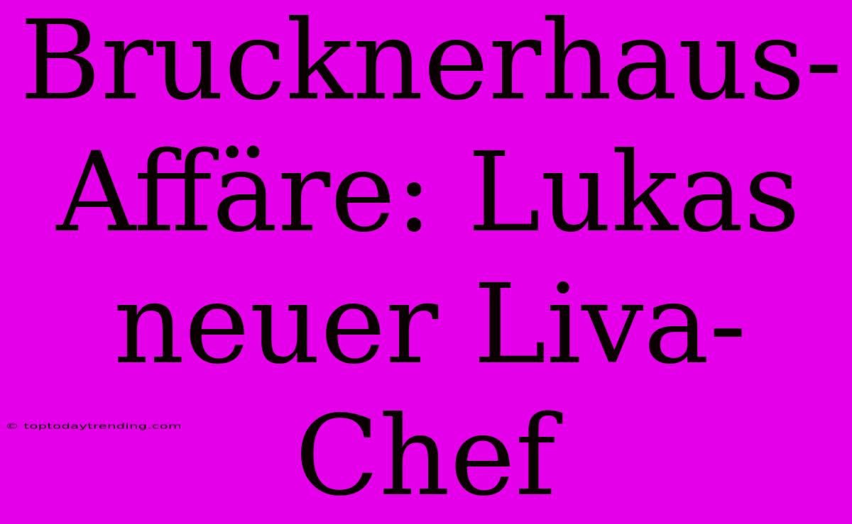 Brucknerhaus-Affäre: Lukas Neuer Liva-Chef