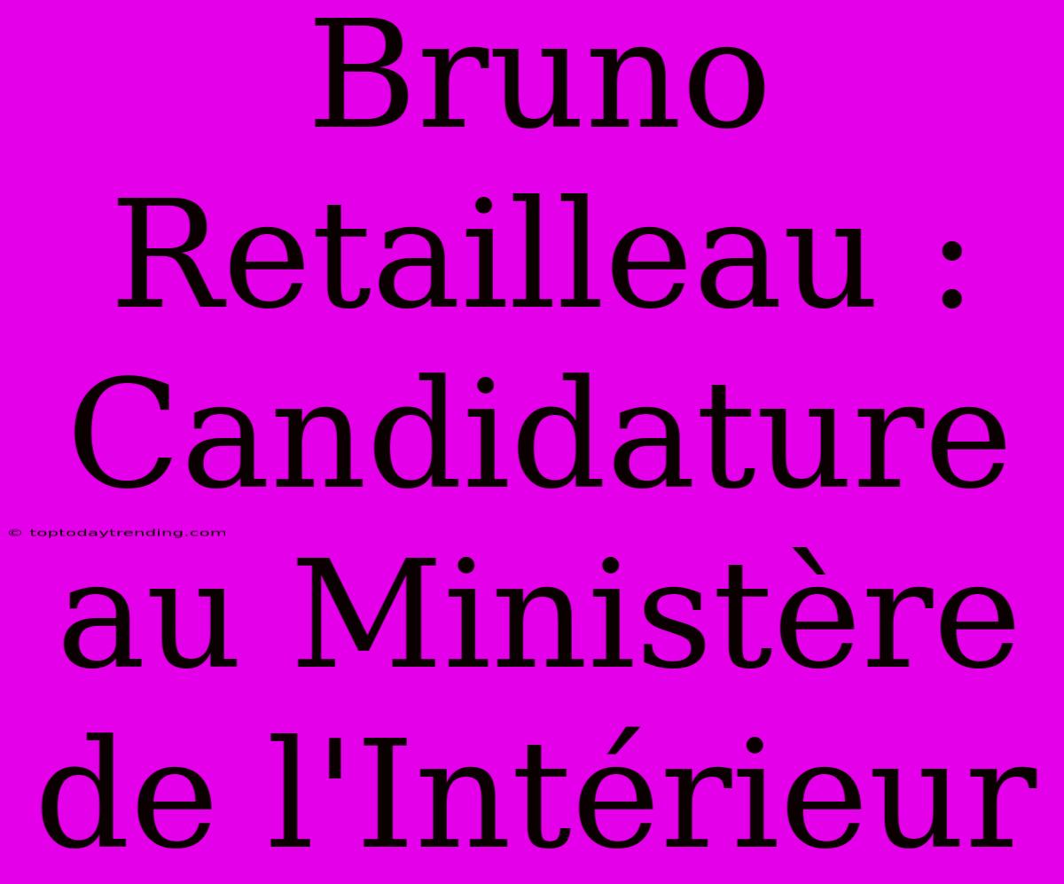 Bruno Retailleau : Candidature Au Ministère De L'Intérieur