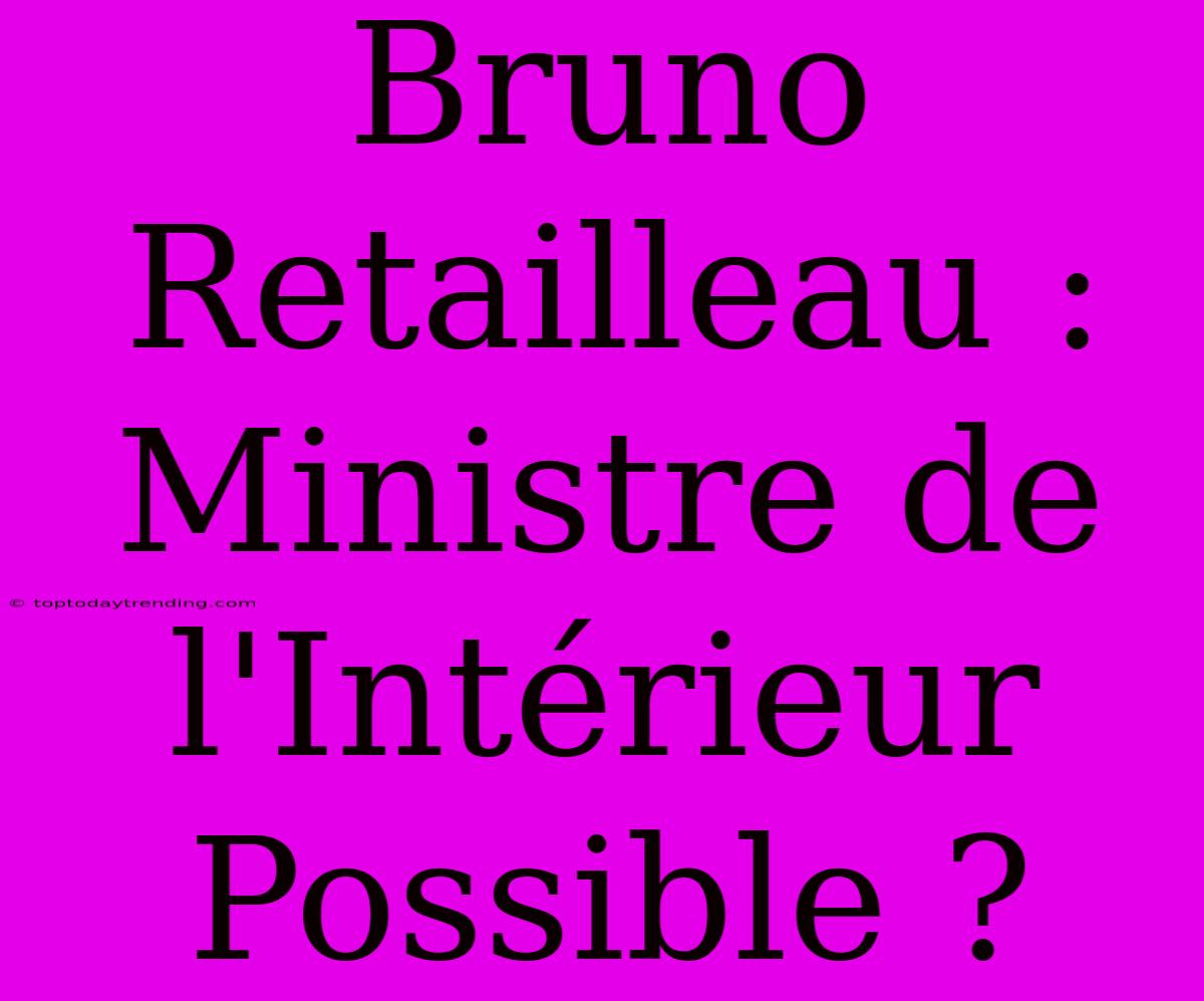 Bruno Retailleau : Ministre De L'Intérieur Possible ?