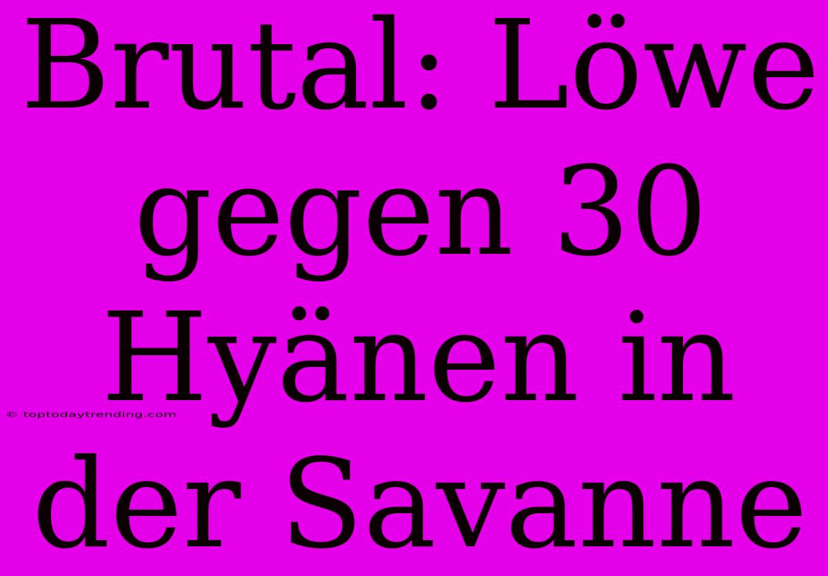 Brutal: Löwe Gegen 30 Hyänen In Der Savanne