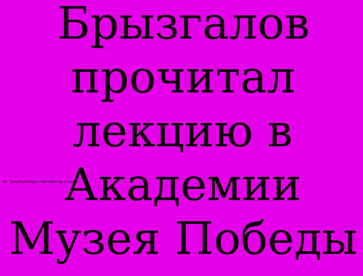 Брызгалов Прочитал Лекцию В Академии Музея Победы