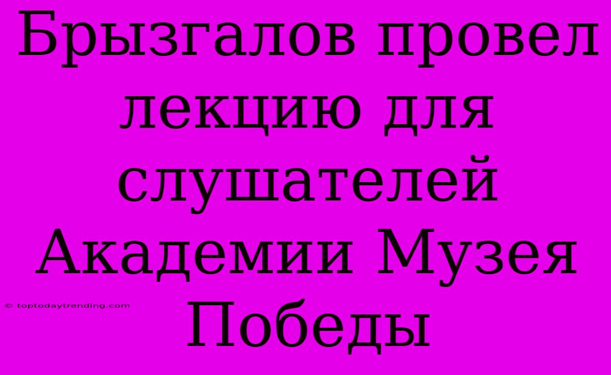 Брызгалов Провел Лекцию Для Слушателей Академии Музея Победы