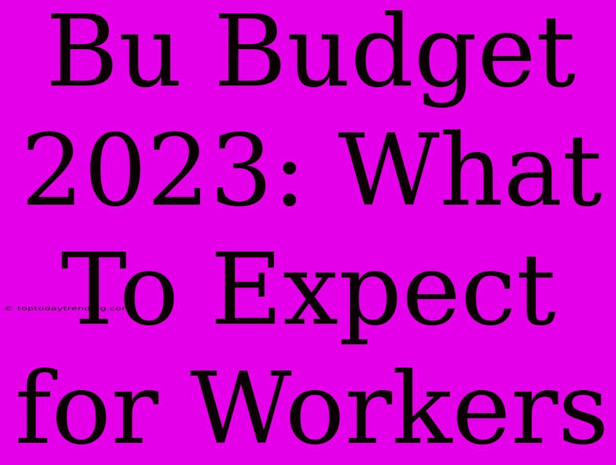 Bu Budget 2023: What To Expect For Workers