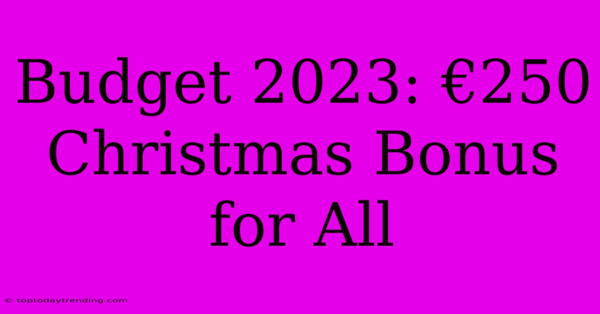 Budget 2023: €250 Christmas Bonus For All