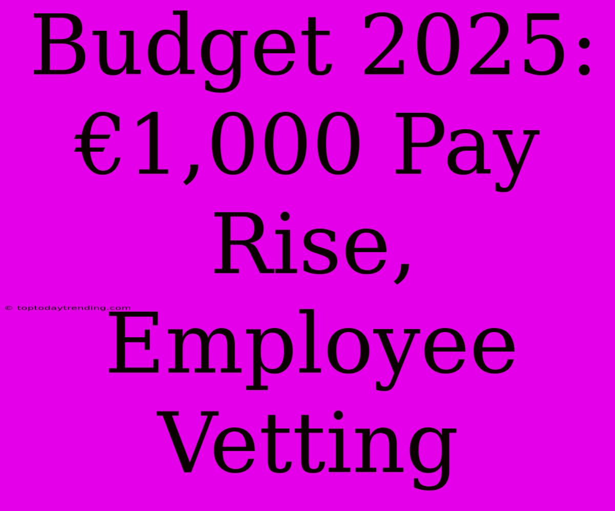 Budget 2025: €1,000 Pay Rise, Employee Vetting