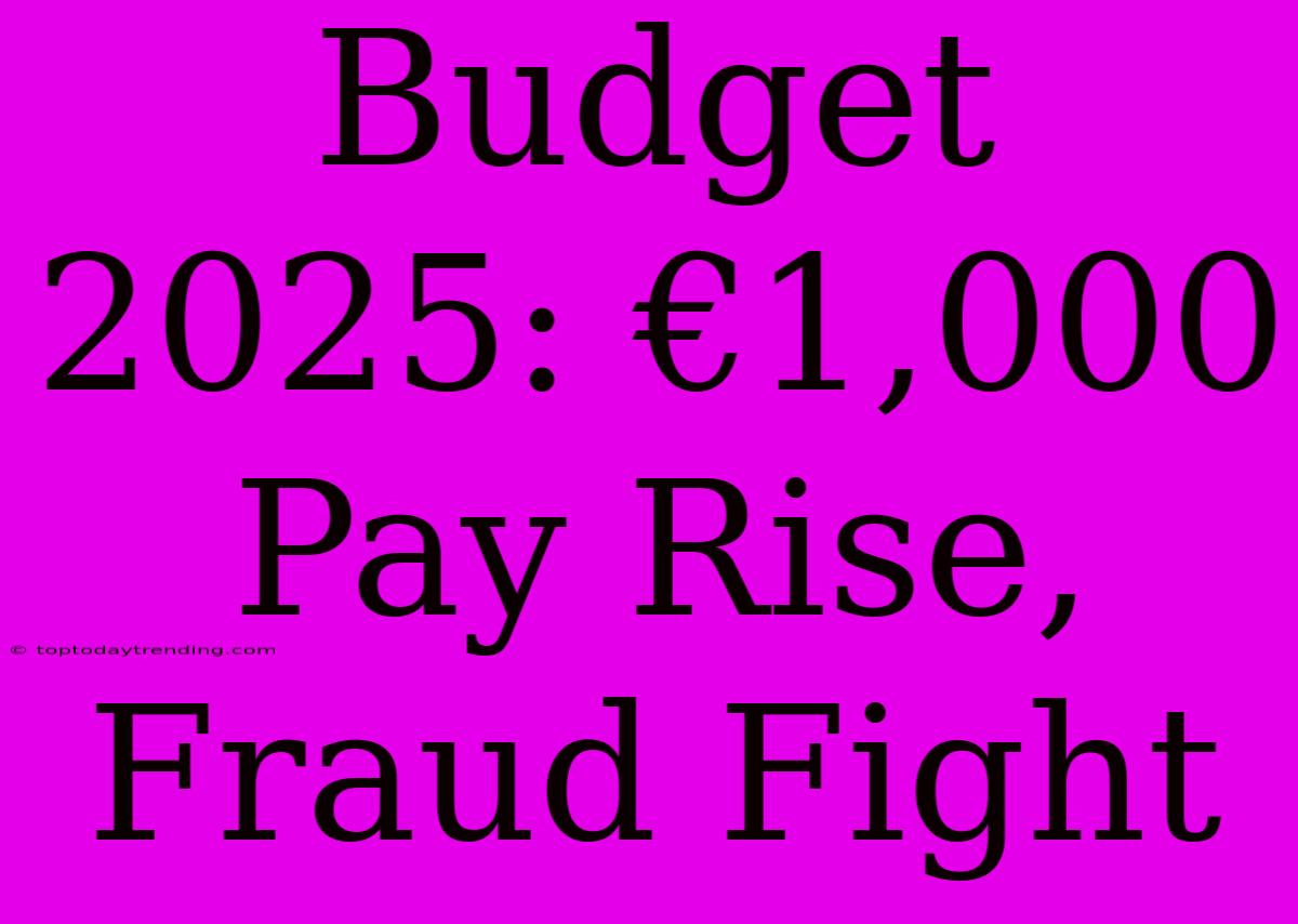 Budget 2025: €1,000 Pay Rise, Fraud Fight