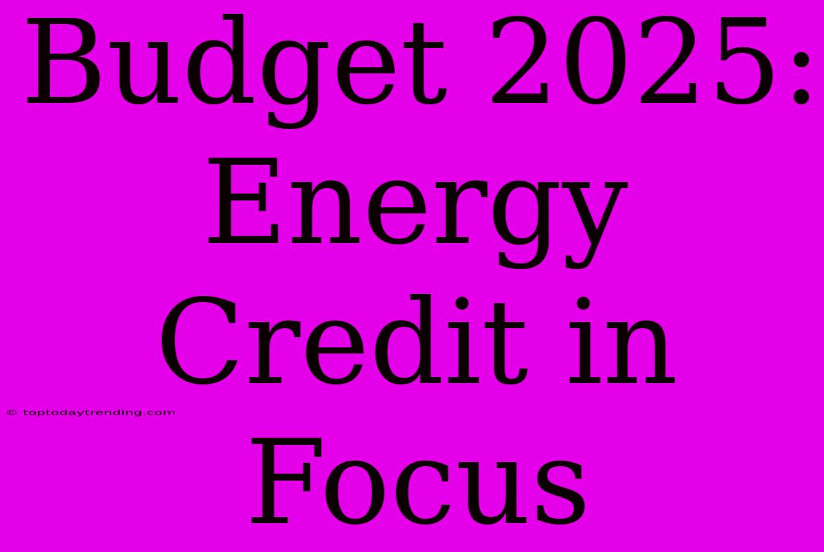 Budget 2025: Energy Credit In Focus