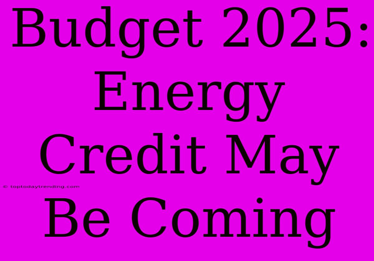 Budget 2025: Energy Credit May Be Coming