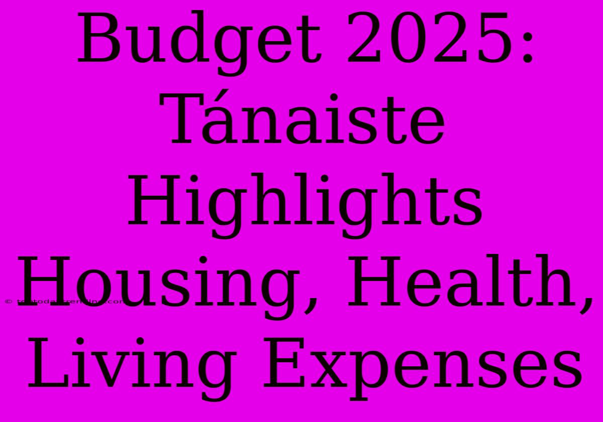 Budget 2025: Tánaiste Highlights Housing, Health, Living Expenses