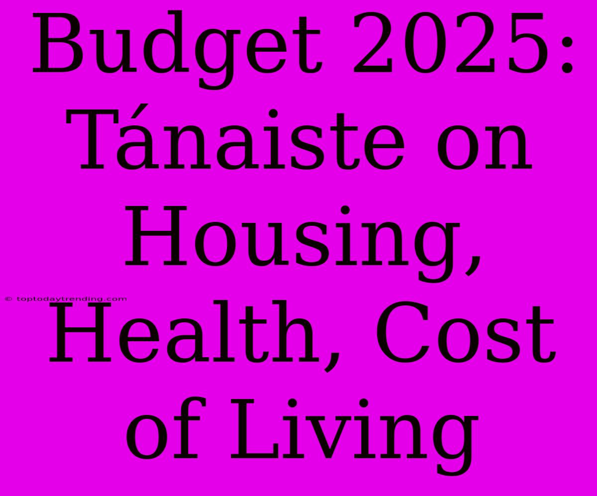 Budget 2025: Tánaiste On Housing, Health, Cost Of Living