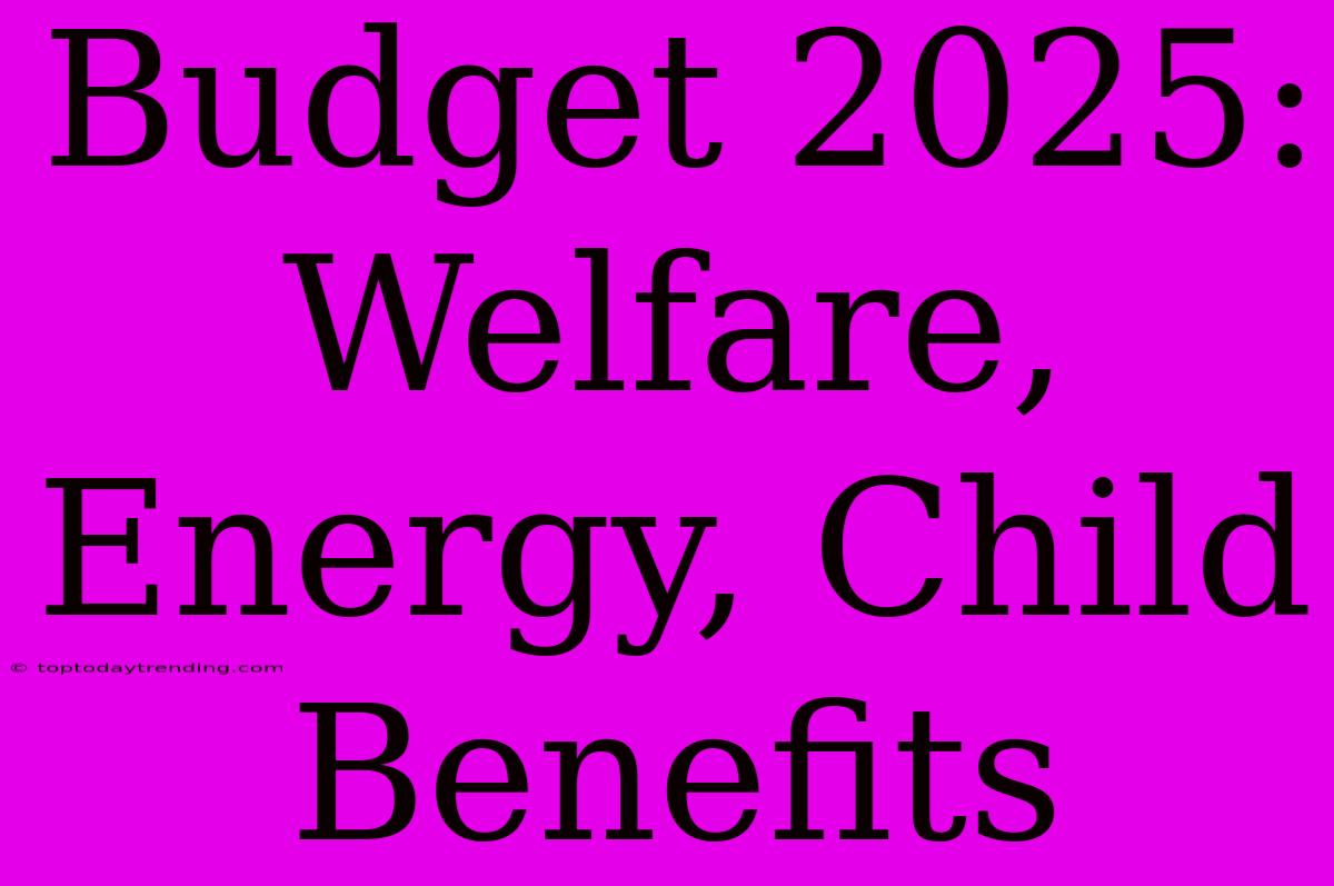 Budget 2025: Welfare, Energy, Child Benefits