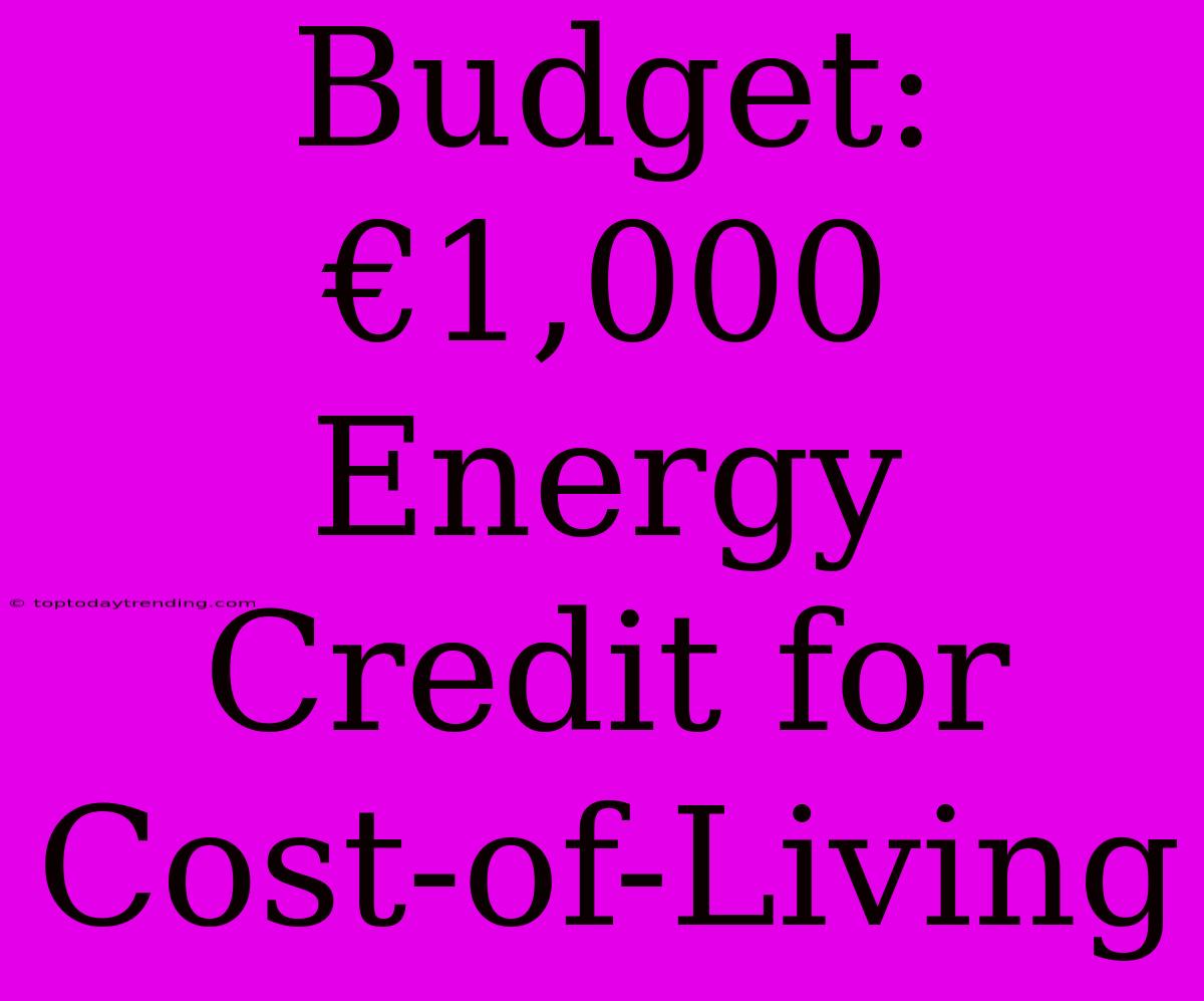 Budget: €1,000 Energy Credit For Cost-of-Living