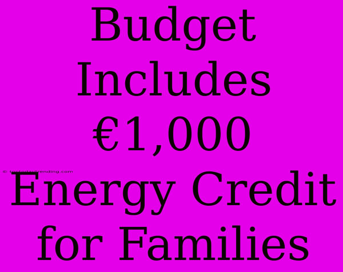 Budget Includes €1,000 Energy Credit For Families