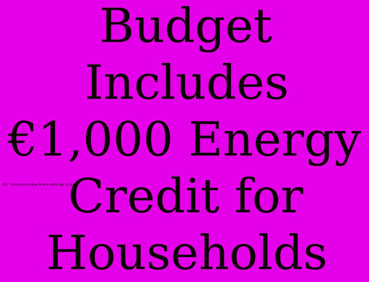 Budget Includes €1,000 Energy Credit For Households