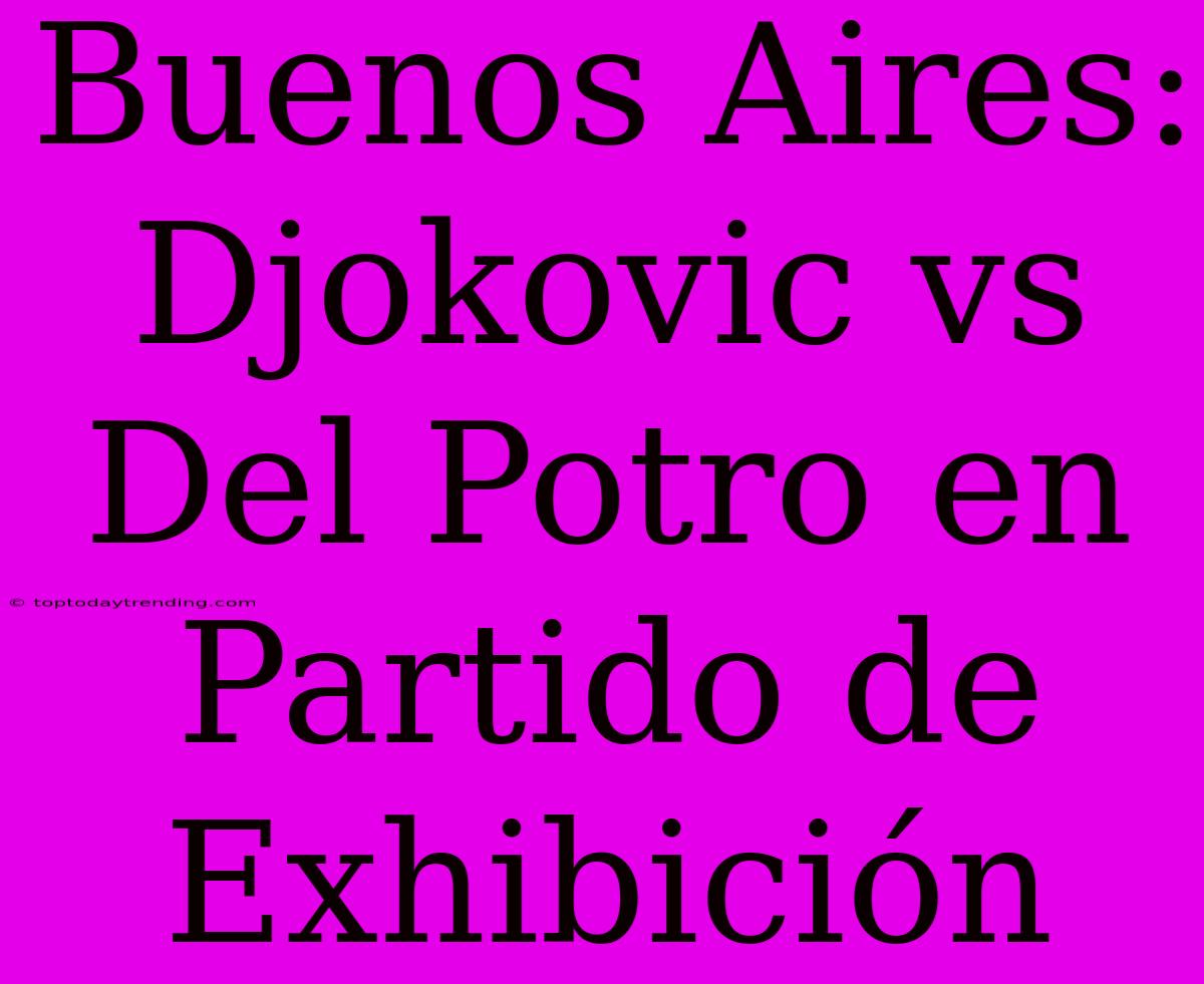 Buenos Aires: Djokovic Vs Del Potro En Partido De Exhibición