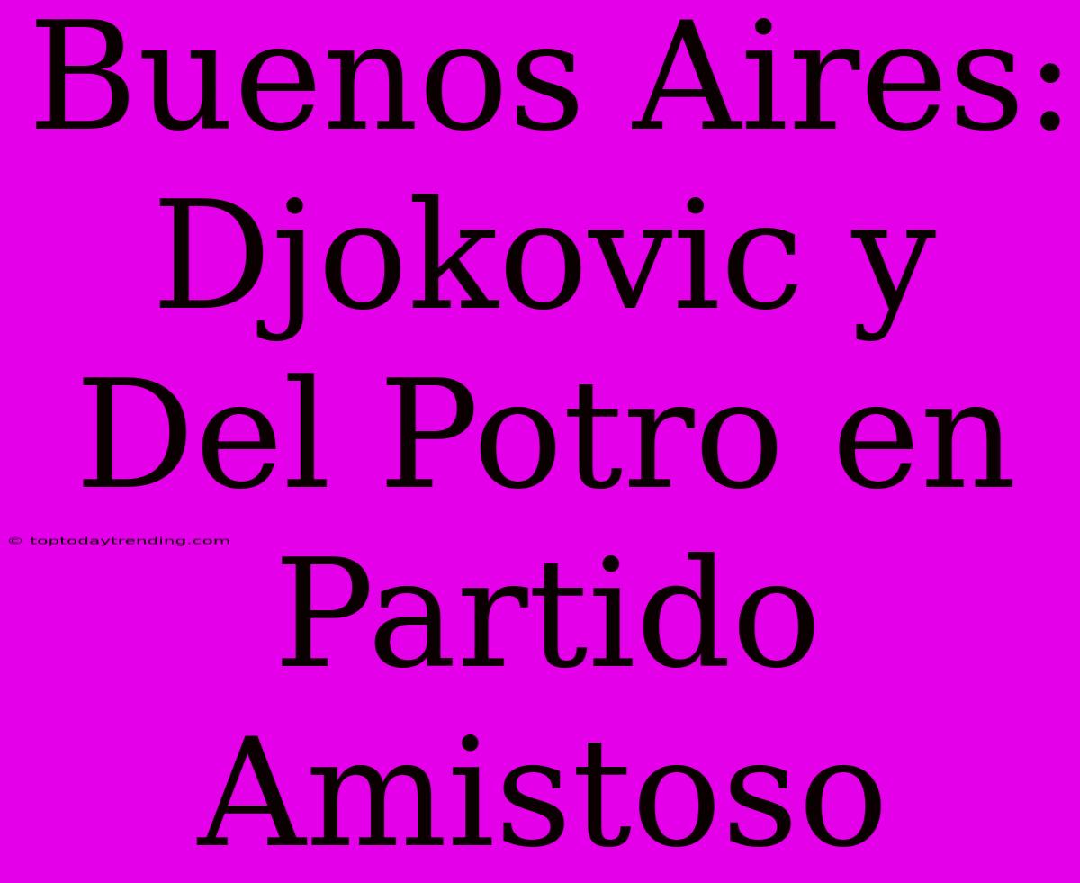 Buenos Aires: Djokovic Y Del Potro En Partido Amistoso