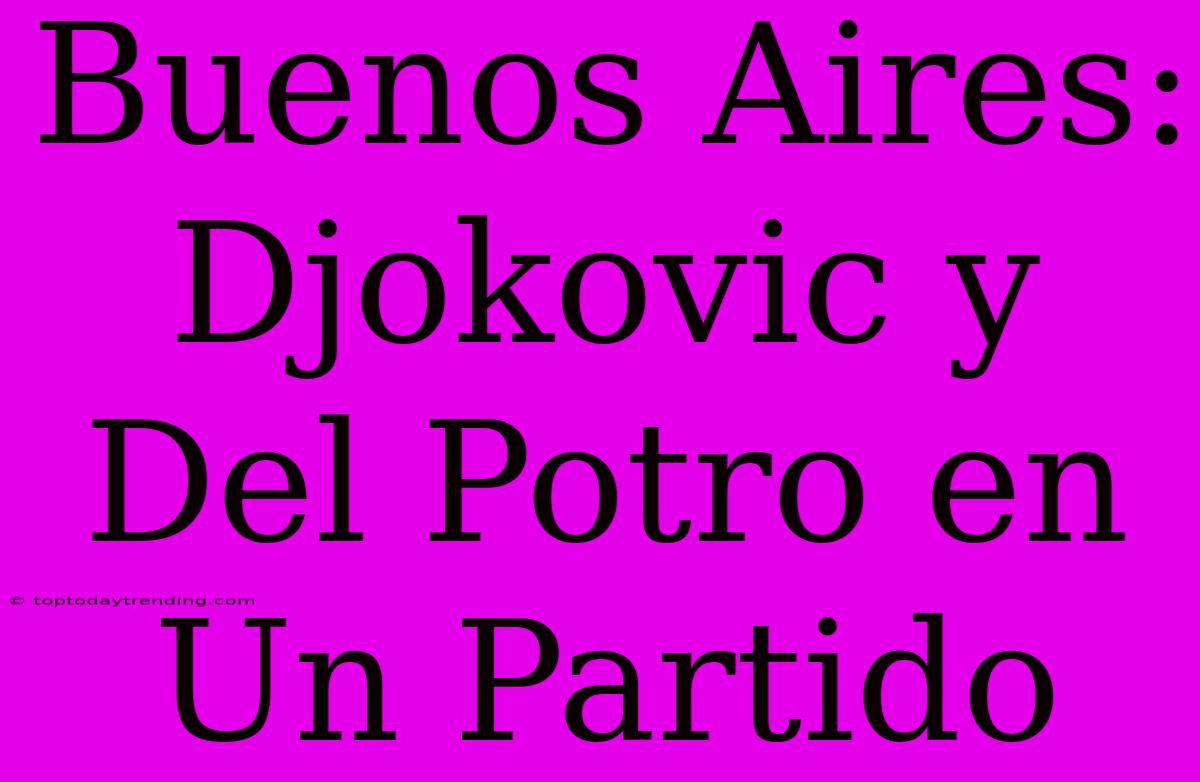 Buenos Aires: Djokovic Y Del Potro En Un Partido