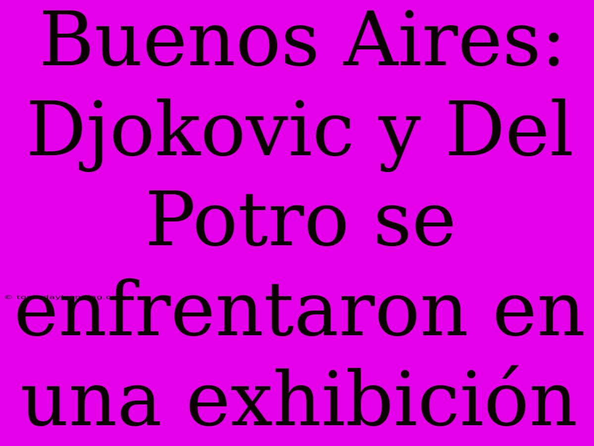 Buenos Aires: Djokovic Y Del Potro Se Enfrentaron En Una Exhibición