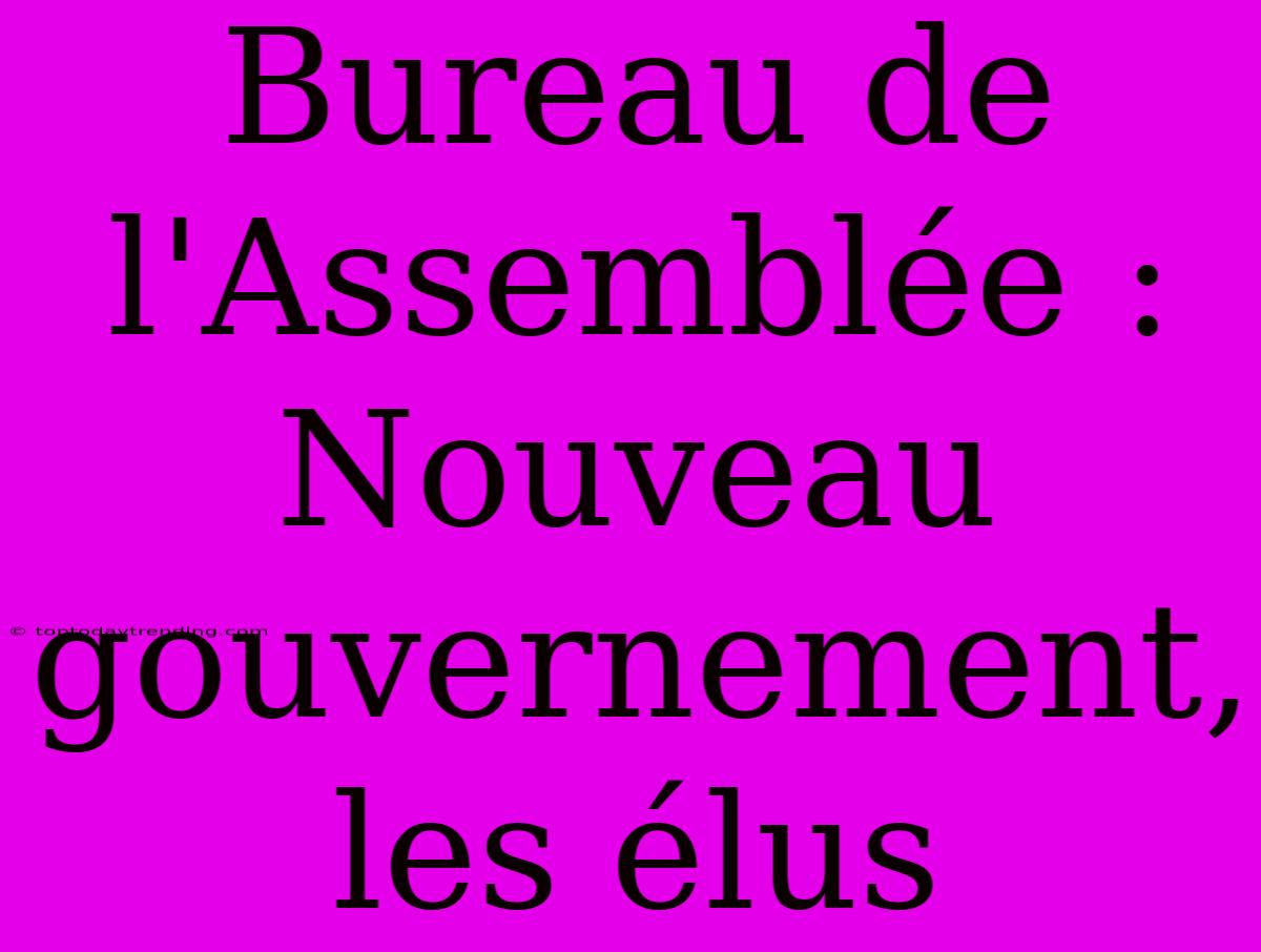 Bureau De L'Assemblée : Nouveau Gouvernement, Les Élus