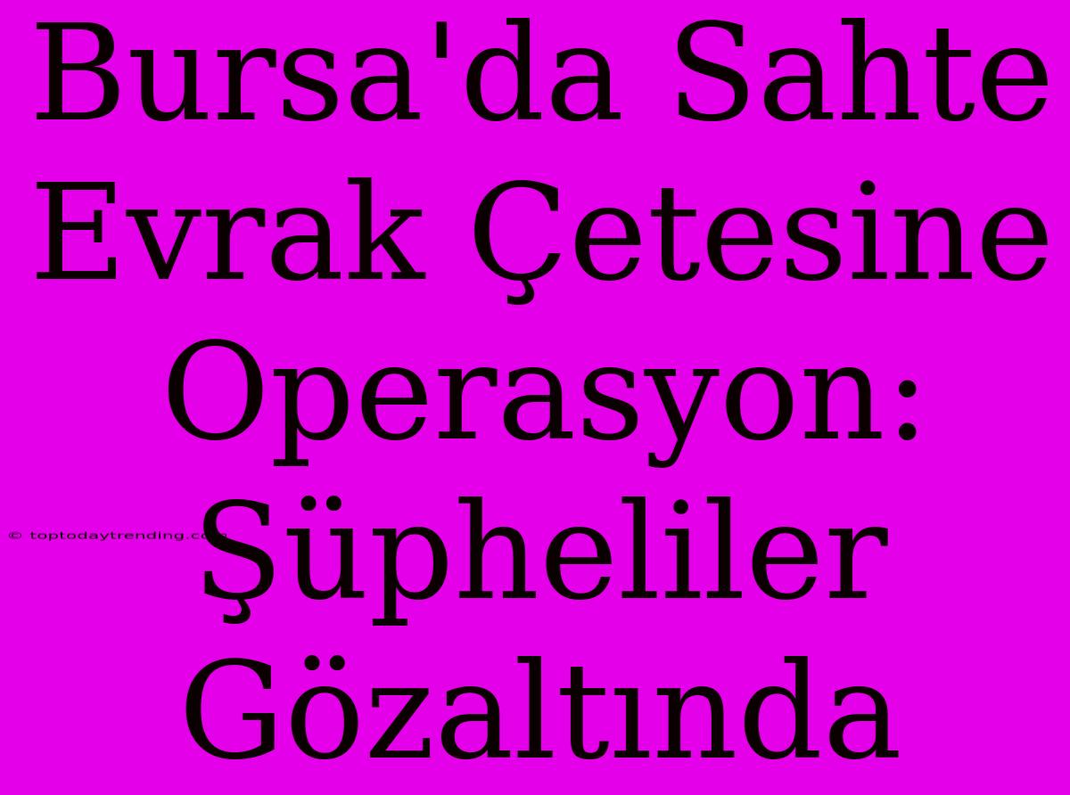 Bursa'da Sahte Evrak Çetesine Operasyon: Şüpheliler Gözaltında